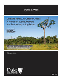 Demand for REDD Carbon Credits: A Primer on Buyers, Markets, and Factors Impacting Prices