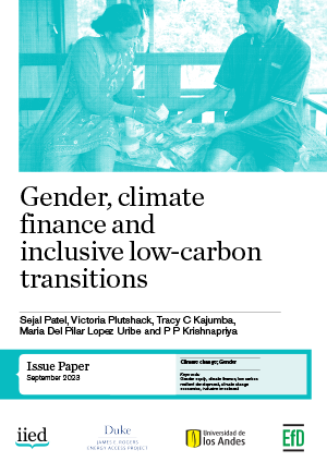 Gender, Climate Finance and Inclusive Low-Carbon Transitions cover