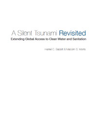 A Silent Tsunami Revisited: Extending Global Access to Clean Water and Sanitation