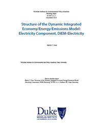 Structure of the Dynamic Integrated Economy/Energy/Emissions Model: Electricity Component, DIEM-Electricity
