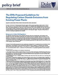 The EPA’s Proposed Guidelines for Regulating Carbon Dioxide Emissions from Existing Power Plants