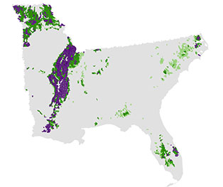 Ecosystem services mapping - wild pollinator habitat map