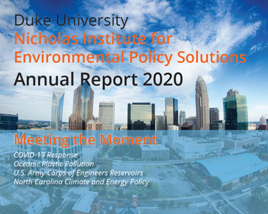 Nicholas Institute 2020 Annual Report