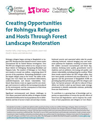 Brief: Creating Opportunities for Rohingya Refugees and Hosts Through Forest Landscape Restoration cover