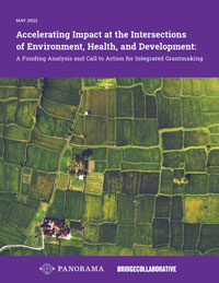 Accelerating Impact at the Intersections of Environment, Health, and Development 2021 cover