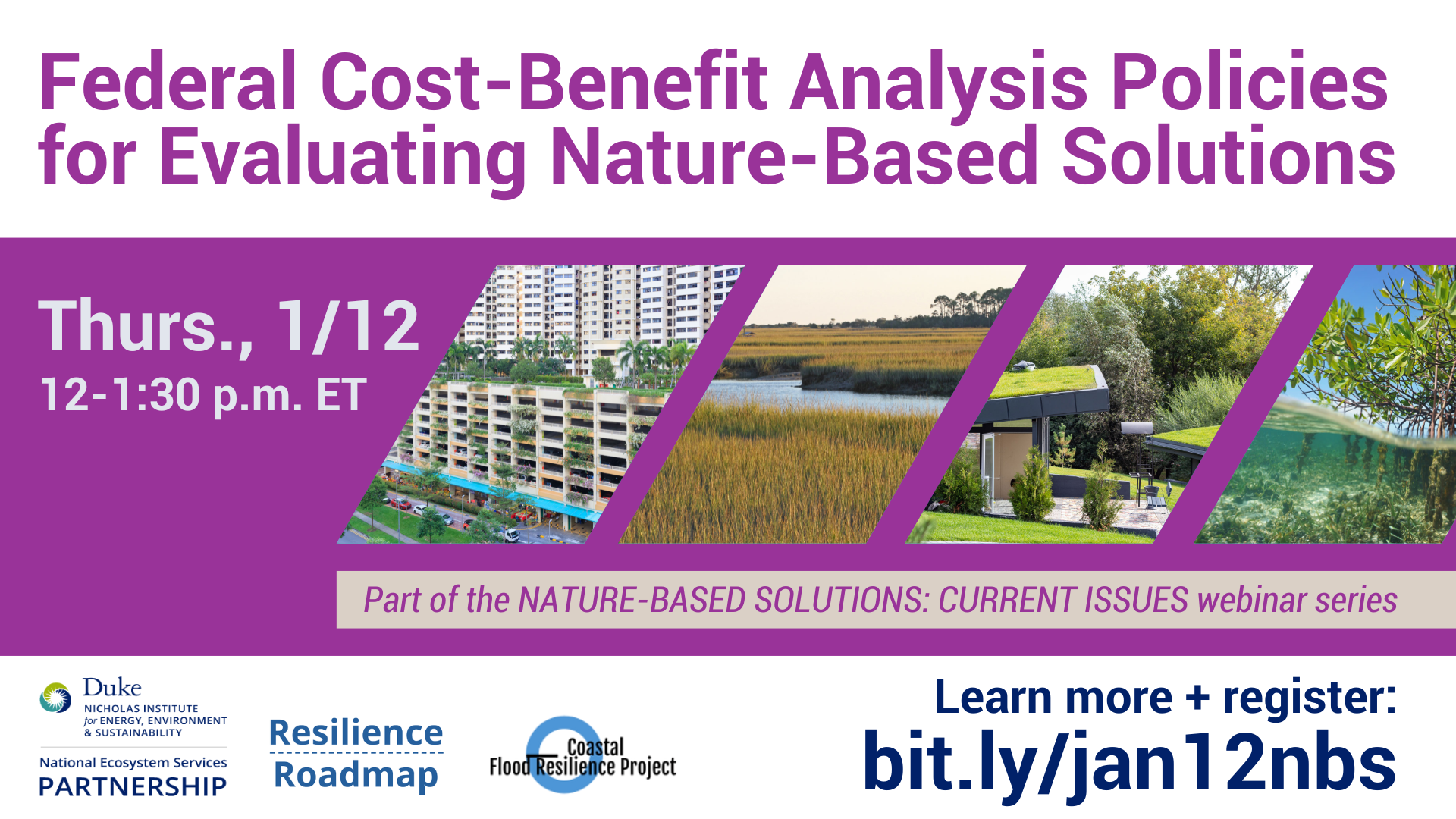 Quantifying co-benefits and disbenefits of Nature-based Solutions