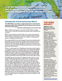 GEMS Funders&apos; Guide - Report cover