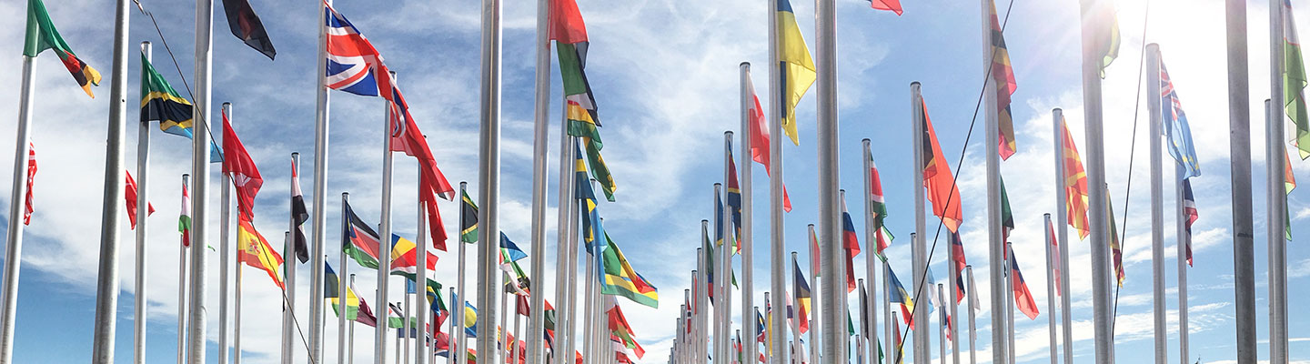 U.N. Climate Change Negotiations Practicum