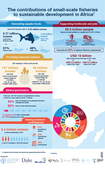 Infographic: The Contributions of Small-Scale Fisheries to Sustainable Development in Africa