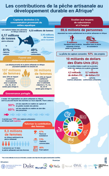 Les contributions de la pêche artisanale au développement durable en Afrique