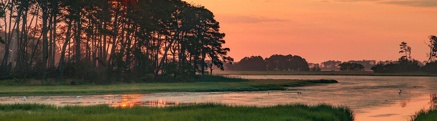 Chincoteague Sunset by iStock user pabradyphoto