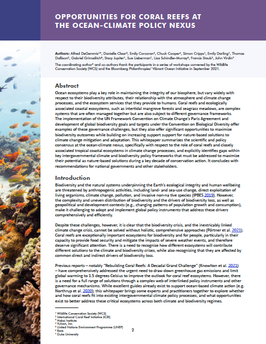 Opportunities for Coral Reefs at the Ocean-Climate Policy Nexus cover