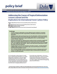 Addressing the Causes of Tropical Deforestation: Lessons Learned and the Implications for International Forest Carbon Policy