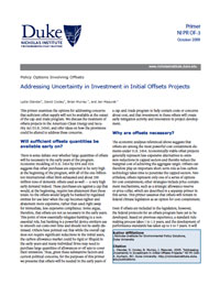 Addressing Uncertainty in Investment in Initial Offsets Projects