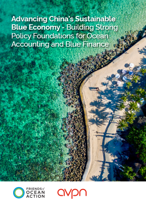 Advancing China’s Sustainable Blue Economy—Building Strong Policy Foundations for Ocean Accounting and Blue Finance cover
