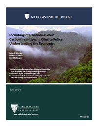Including International Forest Carbon Incentives in Climate Policy: Understanding the Economics