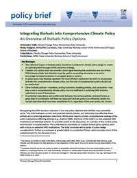 Integrating Biofuels into Comprehensive Climate Policy