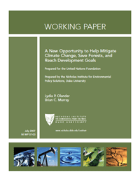 A New Opportunity to Help Mitigate Climate Change, Save Forests, and Reach Development Goals