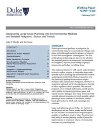 Integrating Large-Scale Planning into Environmental Markets and Related Programs: Status and Trends
