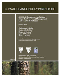 A Critical Comparison and Virtual "Field Test" of Forest Management Carbon Offset Protocols