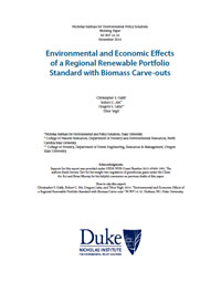 Environmental and Economic Effects of a Regional Renewable Portfolio Standard with Biomass Carve-outs
