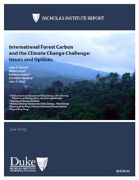 International Forest Carbon and the Climate Change Challenge: Issues and Options