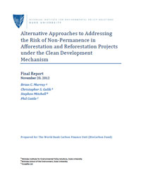 Alternative Approaches to Addressing the Risk of Non-Permanence in Afforestation and Reforestation Projects under the Clean Development Mechanism