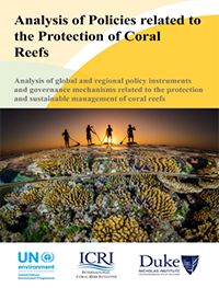 Analysis of Policies related to the Protection of Coral Reefs