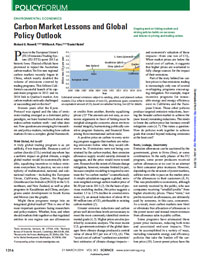 Carbon Market Lessons and Global Policy Outlook