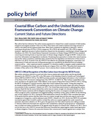 Coastal Blue Carbon and the United Nations Framework Convention on Climate Change: Current Status and Future Directions