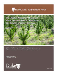 The Effect of Assessment Scale and Metric Selection on the Greenhouse Gas Benefits of Woody Biomass
