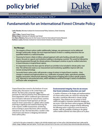 Fundamentals for an International Forest Climate Policy