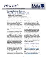 Strategic Reserve Coupons