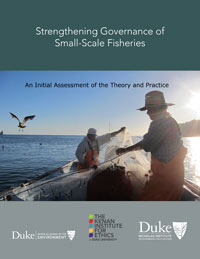 Strengthening Governance of Small-Scale Fisheries: An Initial Assessment of the Theory and Practice