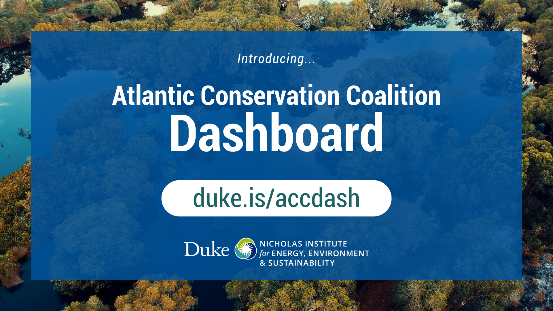 Marshland with text: 'Introducing Atlantic Conservation Coalition Dashboard duke.is/accdash' and Nicholas Institute logo