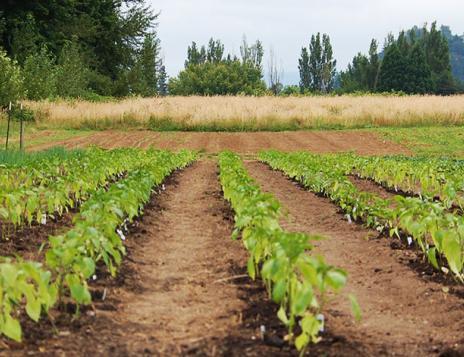 Agriculture Best Management Practices