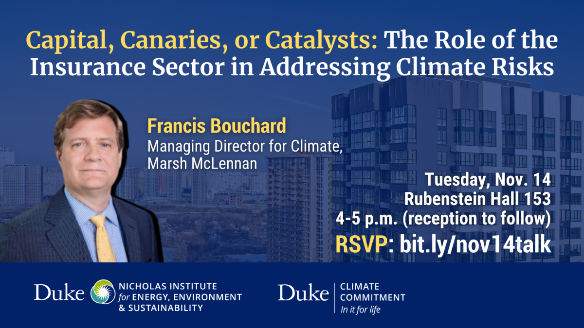 Capital, Canaries, or Catalysts: The Role of the Insurance Sector in Addressing Climate Risks