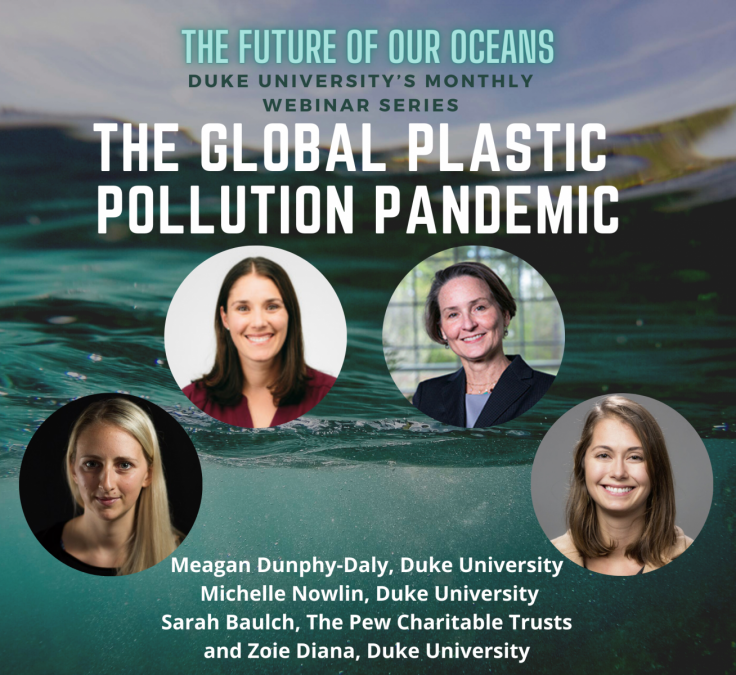 The Global Plastic Pollution Pandemic