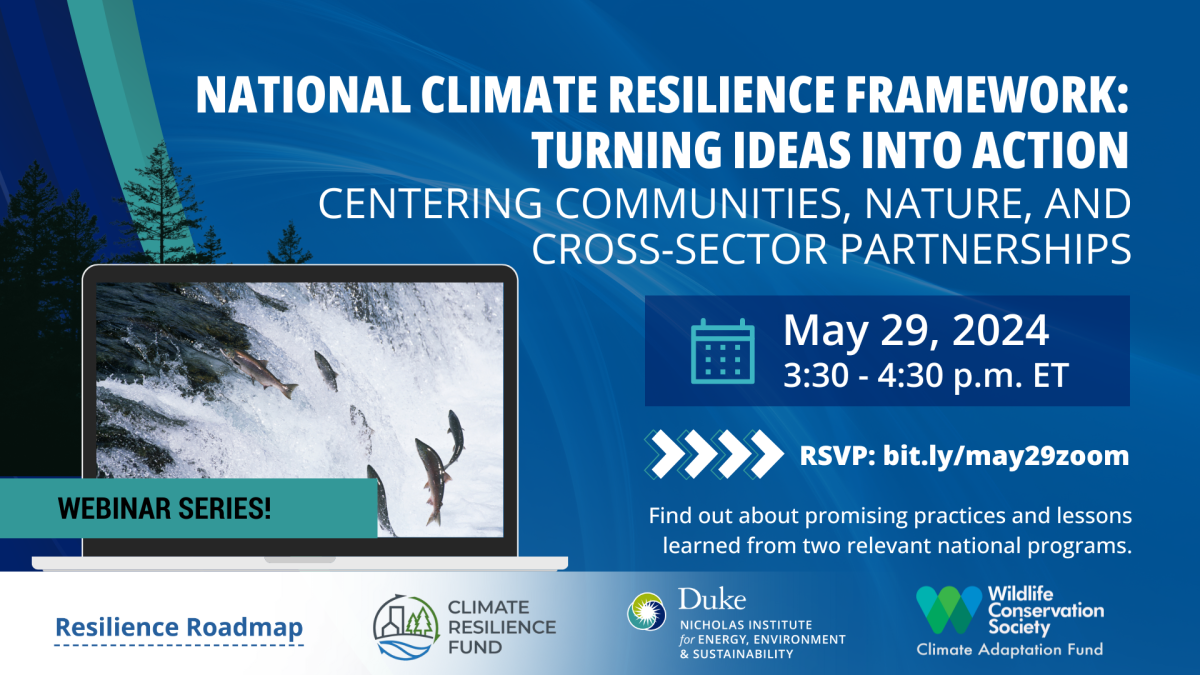 Salmon jumping upstream on a laptop screen with trees in background. Text: "National Climate Resilience Framework: Turning Ideas into Action - Centering Communities, Nature, and Cross-Sector Partnerships. May 29, 2024, 3:30-4:30 p.m. ET. RSVP: bit.ly/may29zoom. Find out about promising practices and lessons learned from two relevant national programs. Webinar series!" Logos included for Resilience Roadmap, Climate Resilience Fund, Nicholas Institute, Wildlife Conservation Society Climate Adaptation Fund.