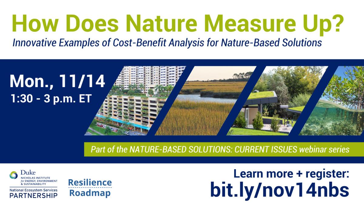 How Does Nature Measure Up? Innovative Examples of Cost-Benefit Analysis of Nature-Based Solutions