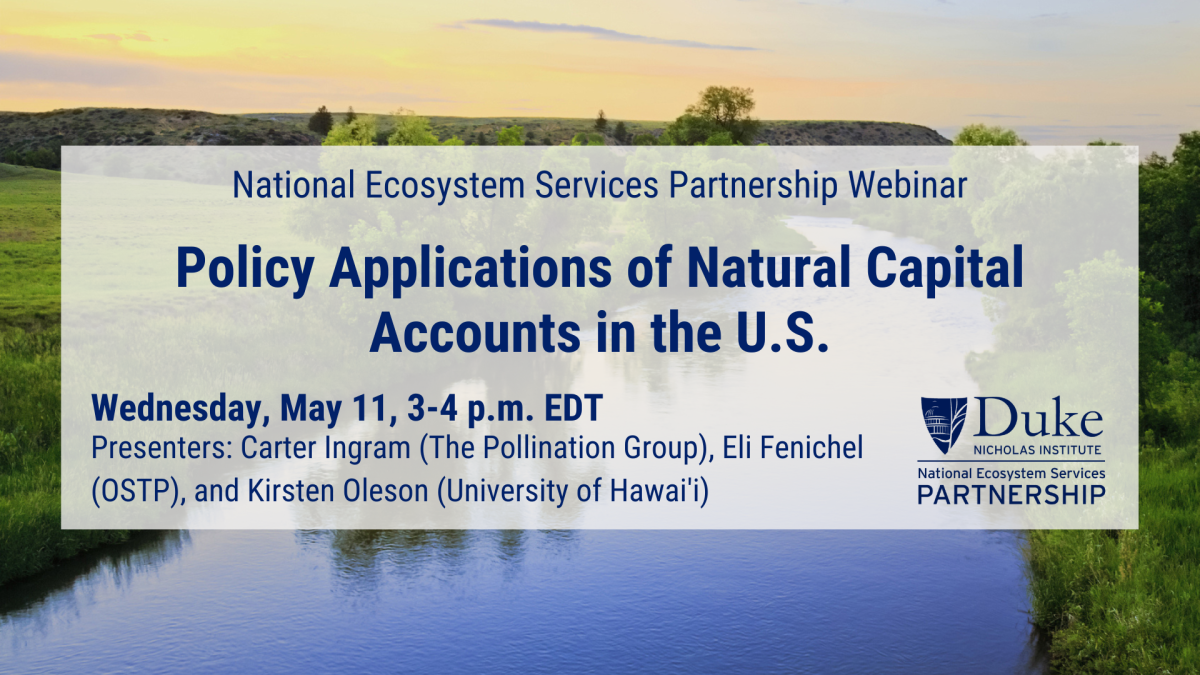 Policy Applications of Natural Capital Accounts in the U.S.