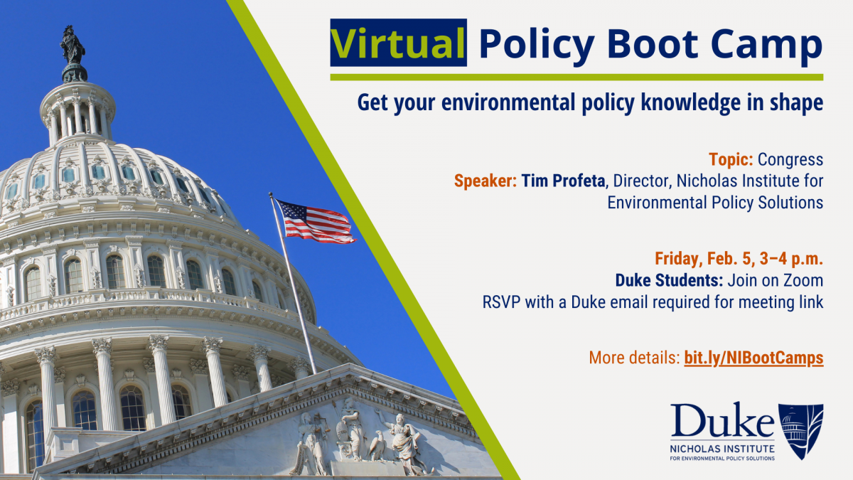 Virtual Policy Boot Camp: Congress