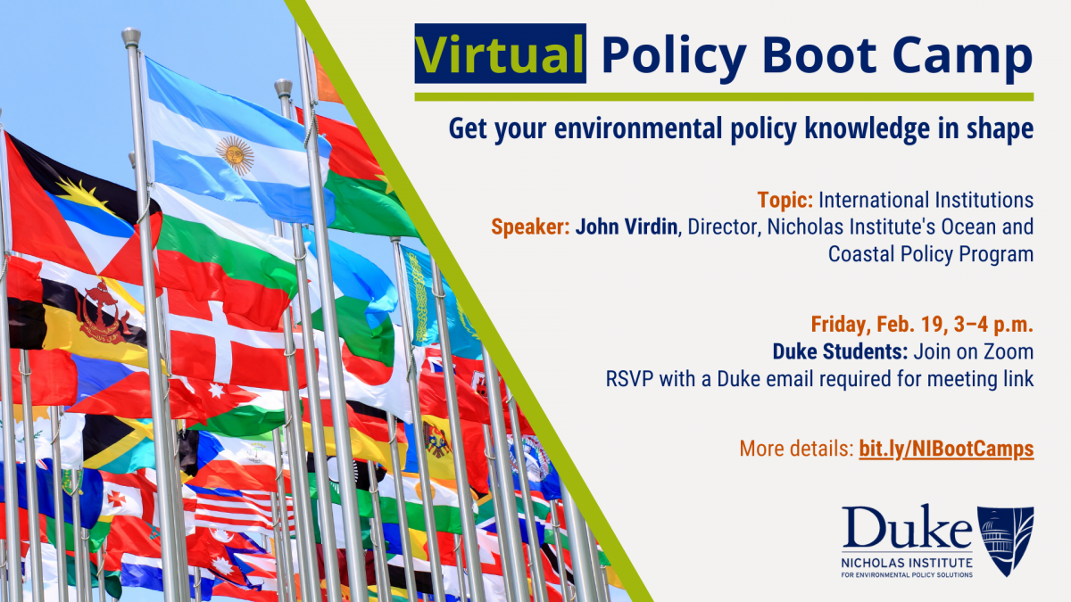 Virtual Policy Boot Camp: International Institutions