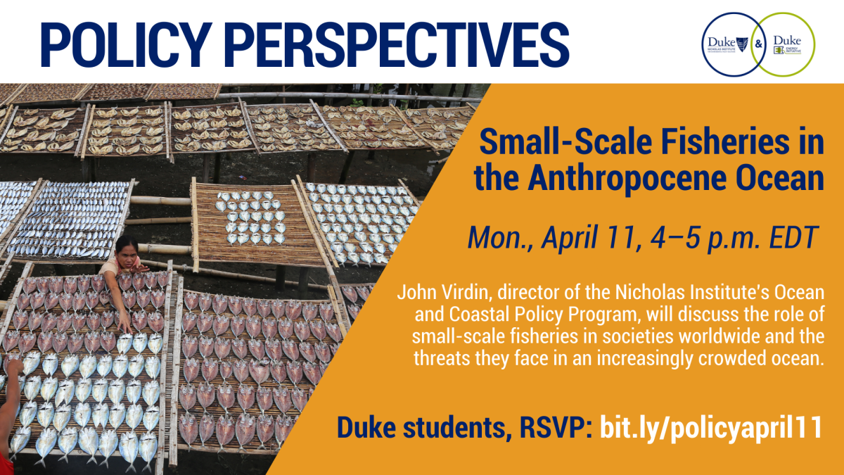 Dried sardines in the Philippines. Text: Policy Perspectives: Small-Scale Fisheries in the Anthropocene Ocean; Mon., April 11, 4–5 p.m. EDT; John Virdin, director of the Nicholas Institute's Ocean and Coastal Policy Program, will discuss the role of small-scale fisheries in societies worldwide and the threats they face in an increasingly crowded ocean. Duke students, RSVP: bit.ly/policyapril11