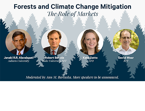 Forests and Climate Change Mitigation: The Role of Markets