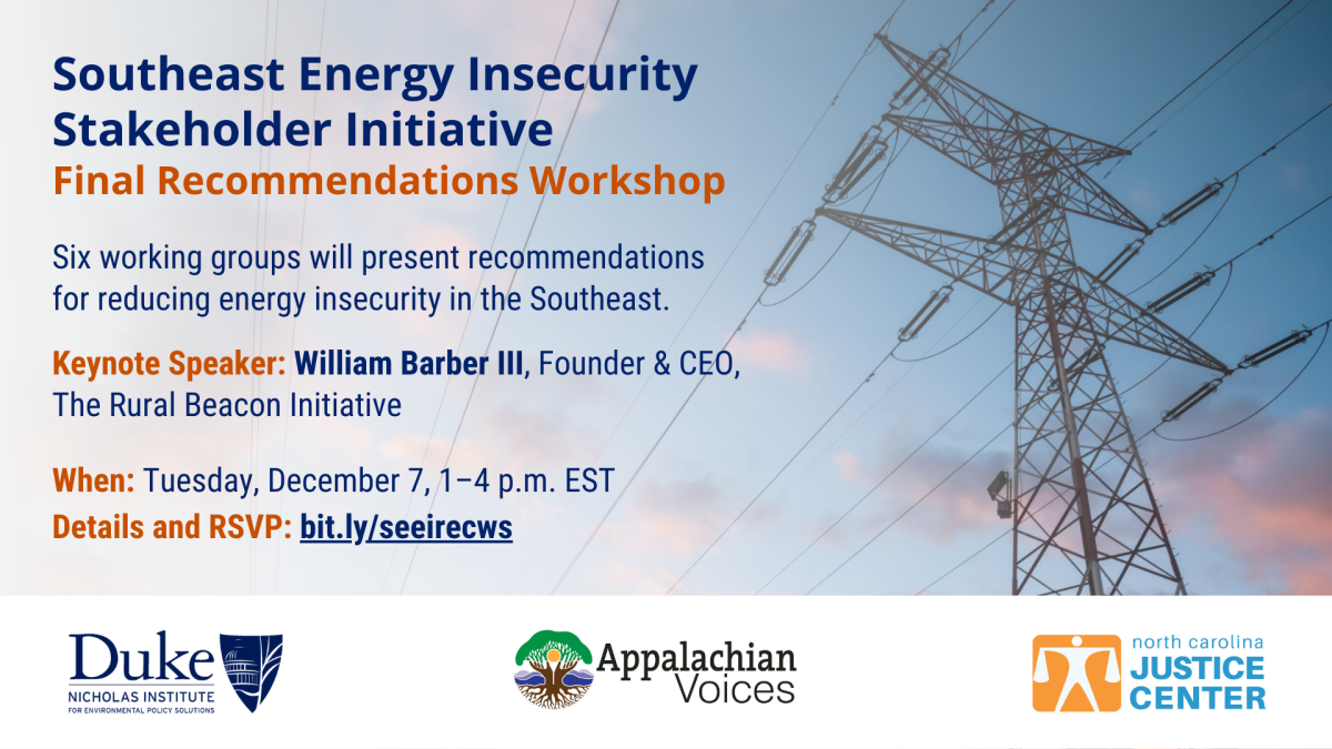 Southeast Energy Insecurity ﻿Stakeholder Initiative: Final Recommendations Workshop