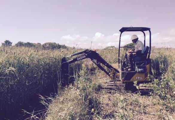 A U.S. Fish and Wildlife staff member uses an excavator to create drainage ditches in a salt marsh.
