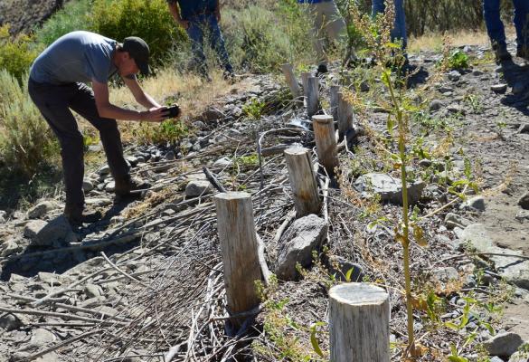 o A group of people surrounding a beaver dam analog structure, formed of a series of short upright logs with sticks and brushy vegetation in between.
