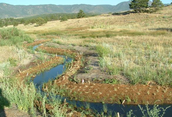 A narrow water channel surrounded by vegetation anchored in erosion netting.