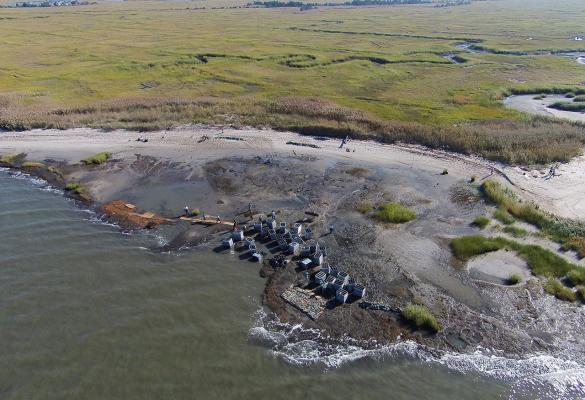 An oyster reef in Downe Township, New Jersey that serves as the first phase of the Hurricane Sandy-funded living shoreline installation for the Gandy’s Beach shoreline protection project (completed in October 2015).